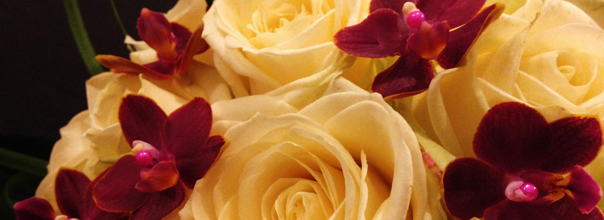 yellow_rose